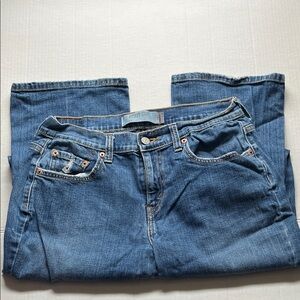 Levi’s Classic Blue Denim Jeans